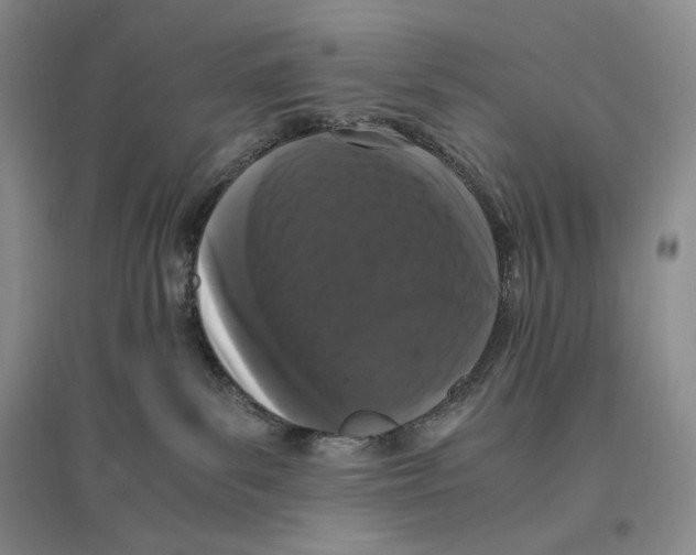 X0000096420139200802211132