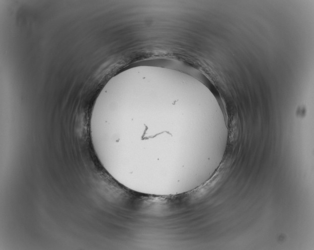X0000096420140200802211132