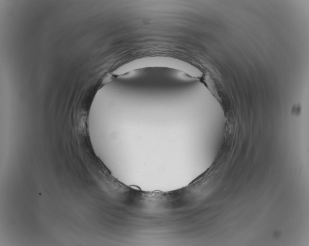 X0000096420141200802211132