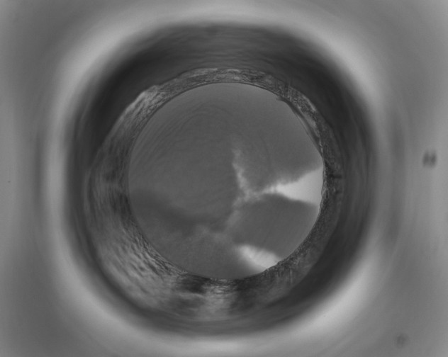X0000096420143200802211132