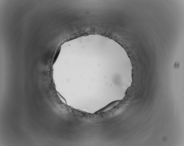 X0000096420144200802211132