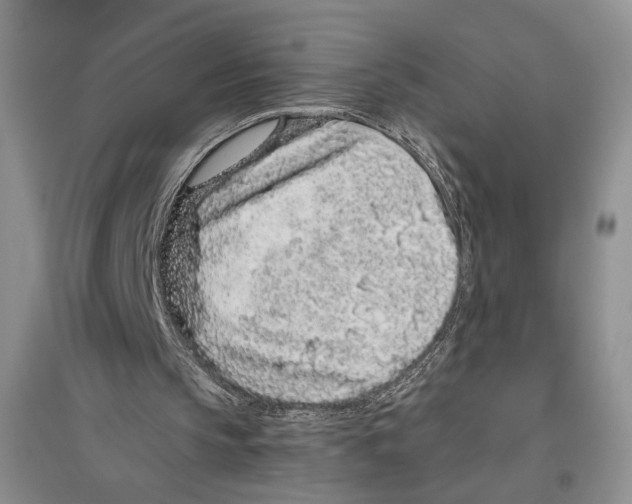 X0000096420145200802211131