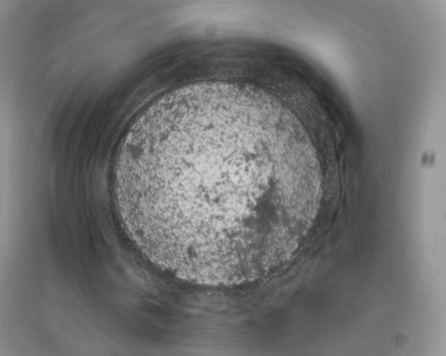 X0000096420146200802211131