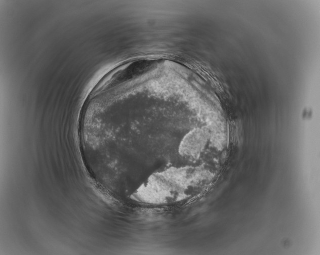 X0000096420147200802211131