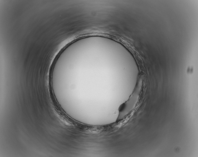 X0000096420148200802211131