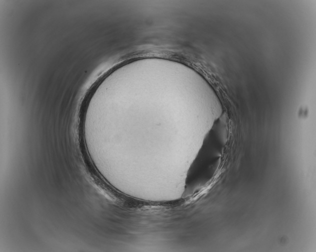 X0000096420150200802211131