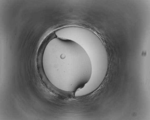 X0000096420152200802211131