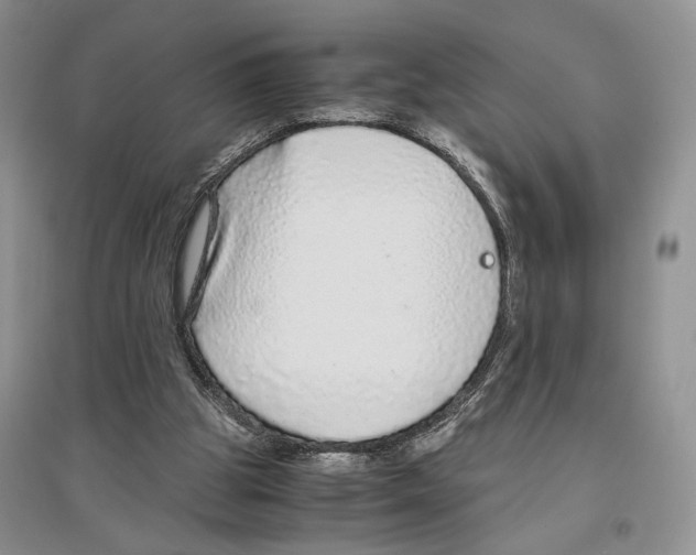 X0000096420153200802211131