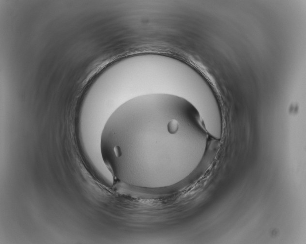X0000096420154200802211131