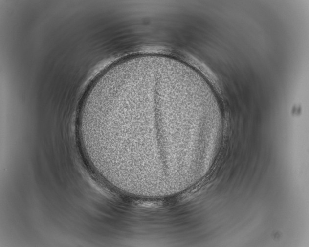 X0000096420155200802211131