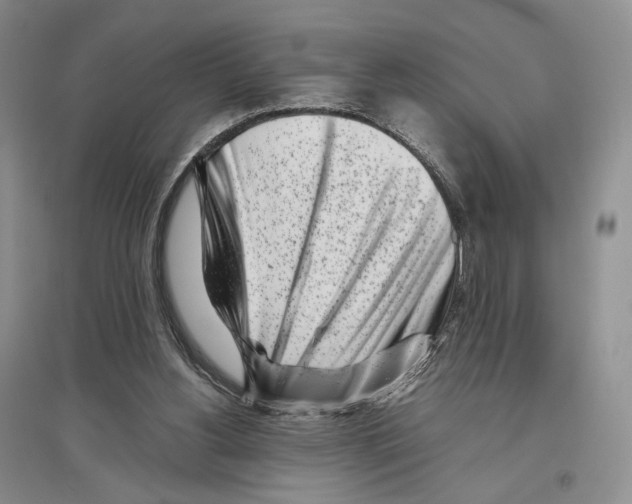 X0000096420156200802211131