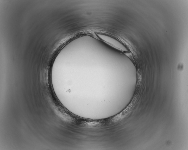 X0000096420158200802211131
