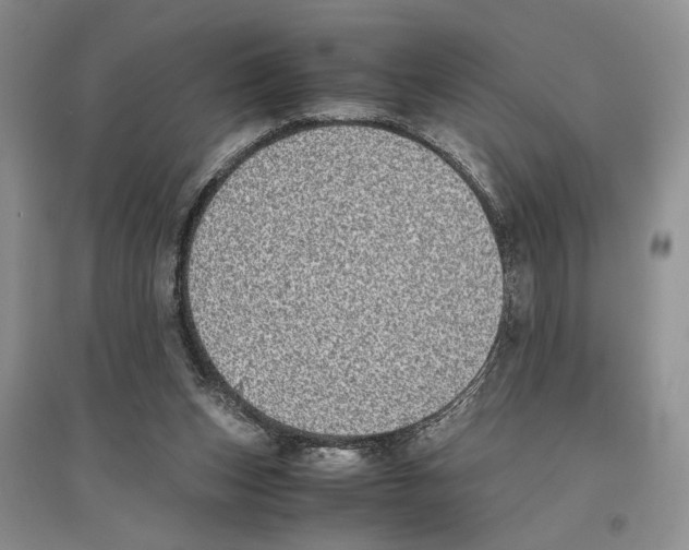 X0000096420159200802211131