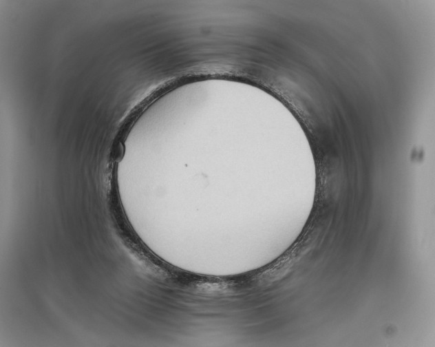 X0000096420160200802211131