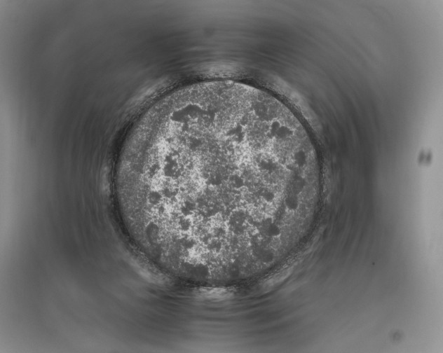 X0000096420161200802211131