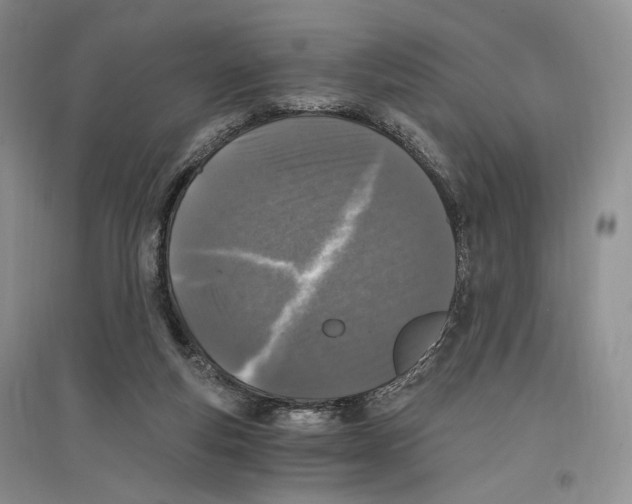 X0000096420163200802211131