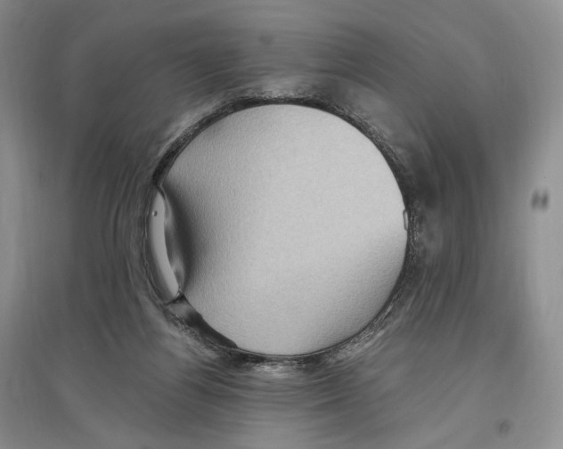 X0000096420164200802211131