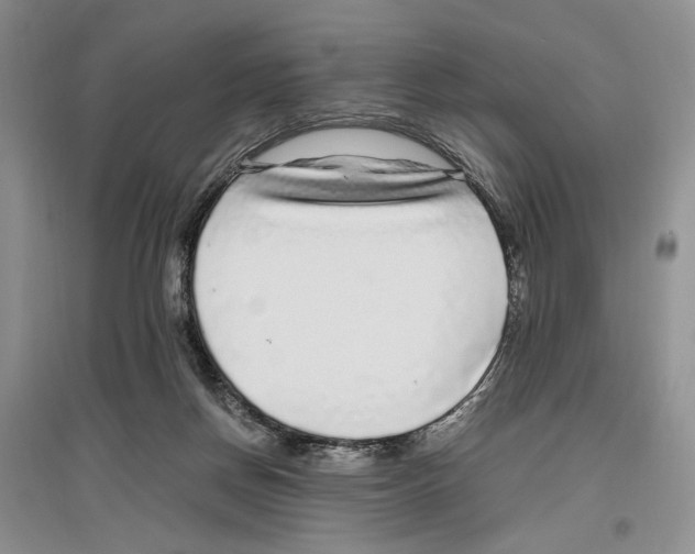 X0000096420166200802211131