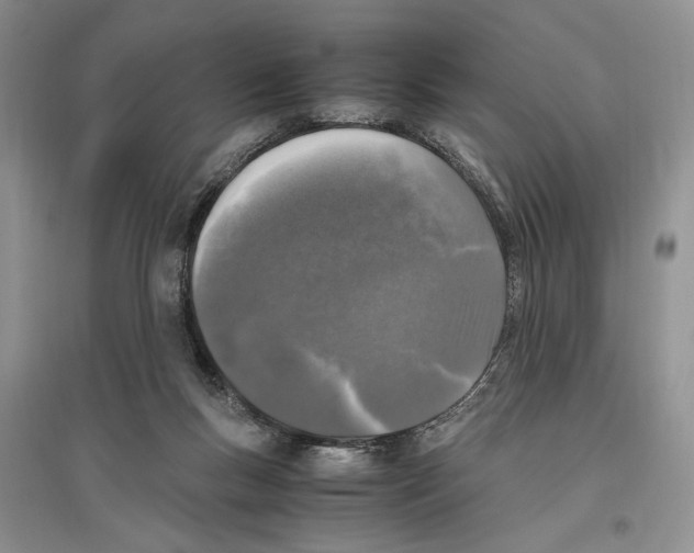 X0000096420167200802211131
