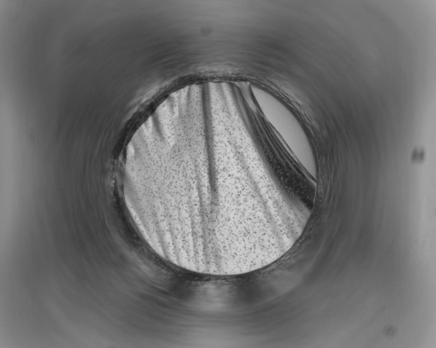 X0000096420168200802211131
