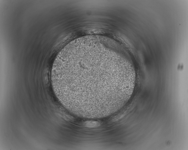 X0000096420169200802211131