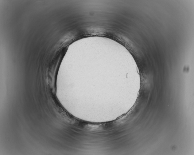 X0000096420170200802211131