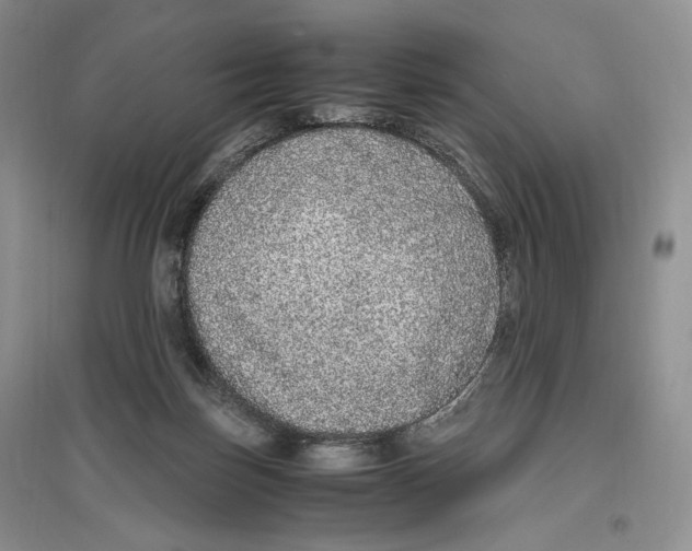 X0000096420171200802211132