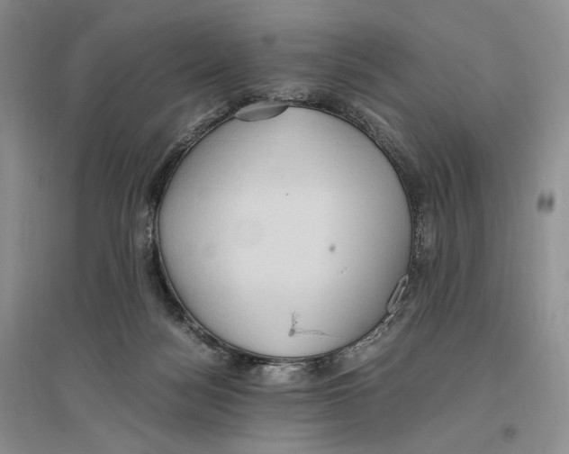 X0000096420172200802211132