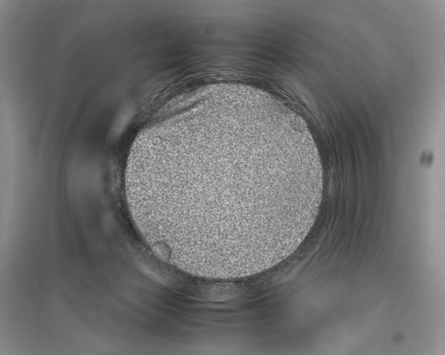 X0000096420173200802211132