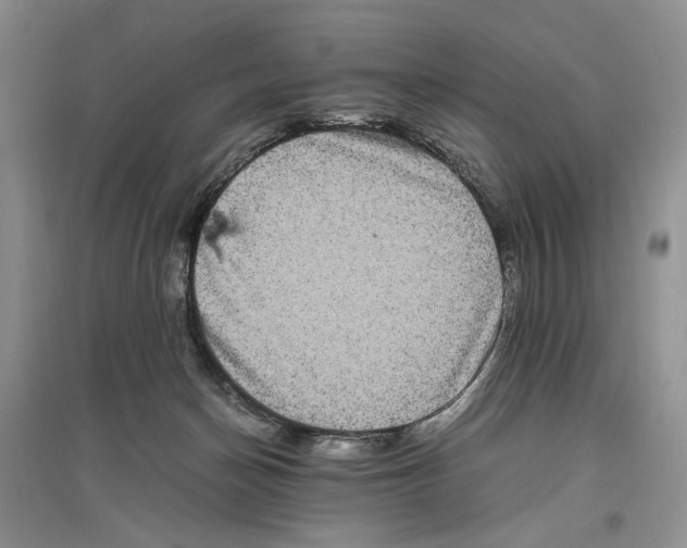 X0000096420174200802211132