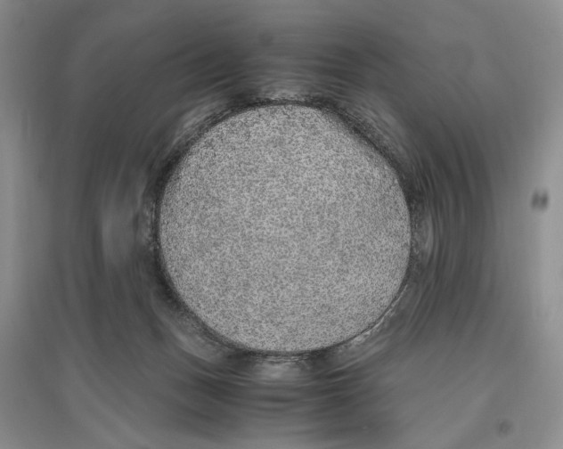 X0000096420175200802211132