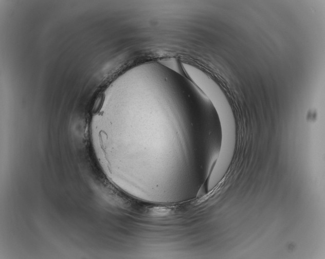X0000096420176200802211132