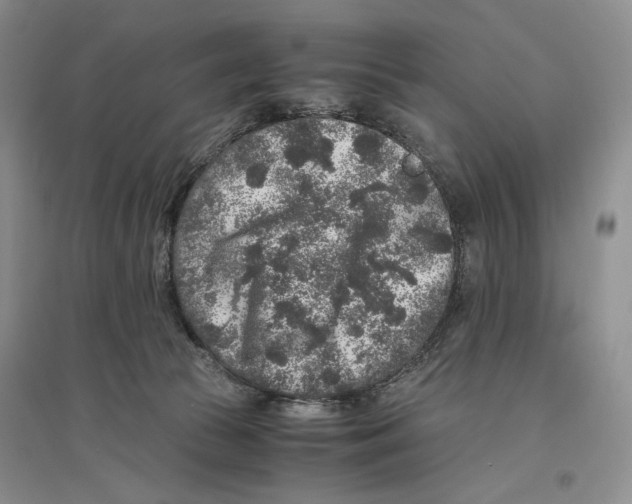 X0000096420177200802211132
