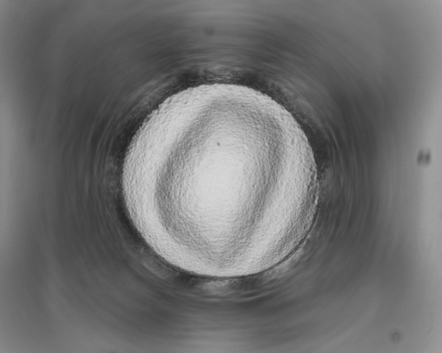 X0000096420178200802211132