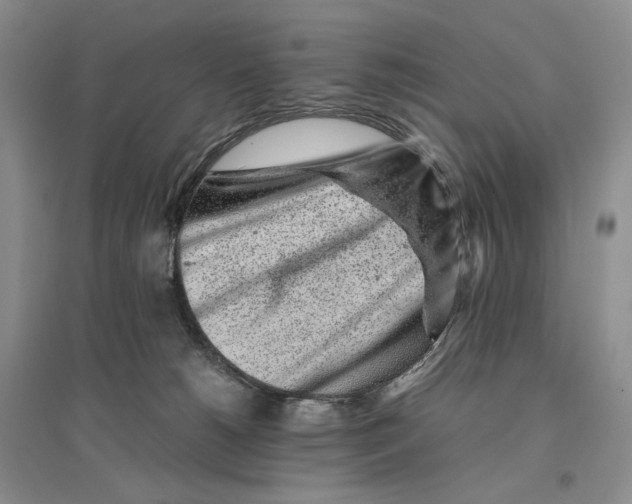 X0000096420180200802211132