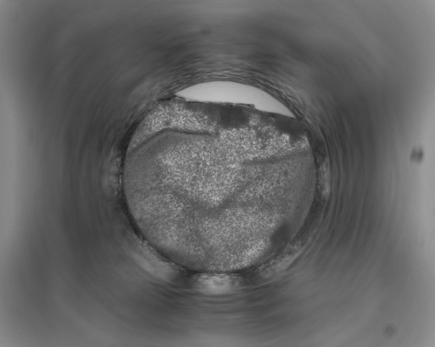 X0000096420181200802211132