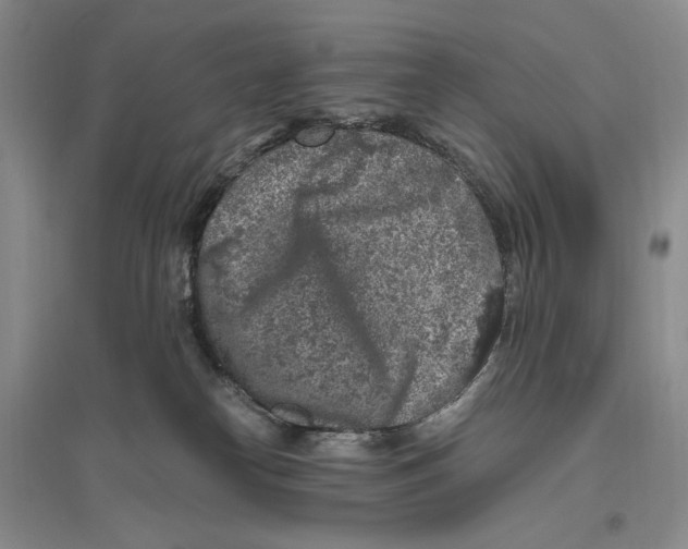 X0000096420182200802211132