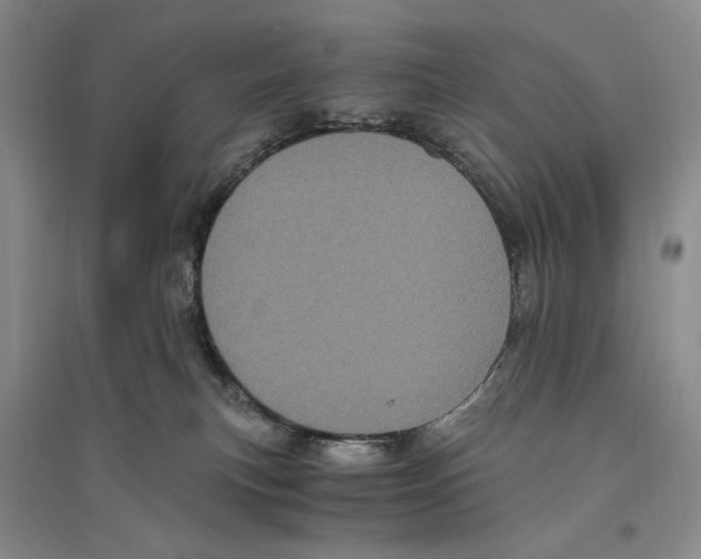 X0000096420183200802211132