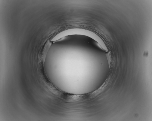 X0000096420184200802211132
