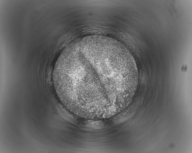 X0000096420185200802211132