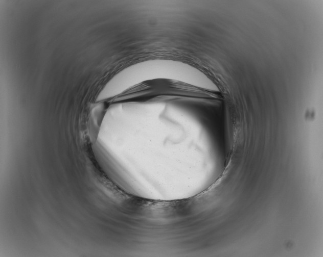 X0000096420186200802211132