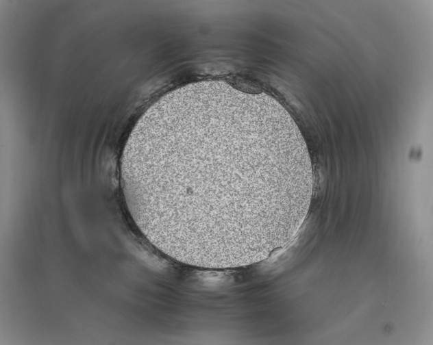 X0000096420187200802211132