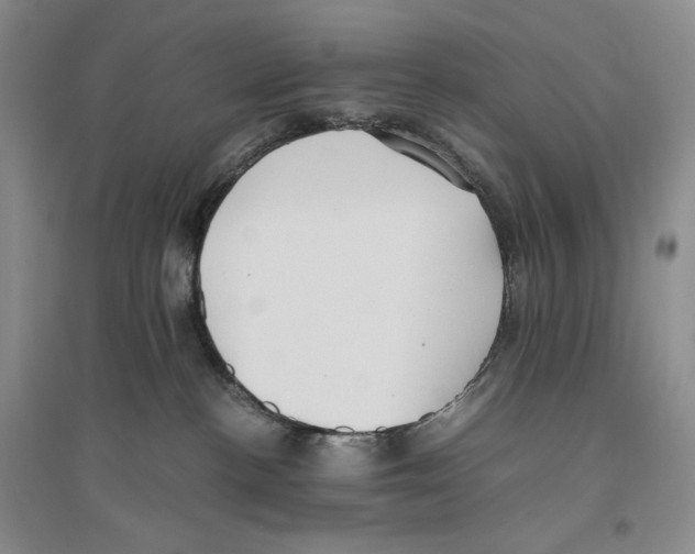 X0000096420188200802211132
