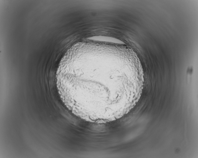 X0000096420189200802211132