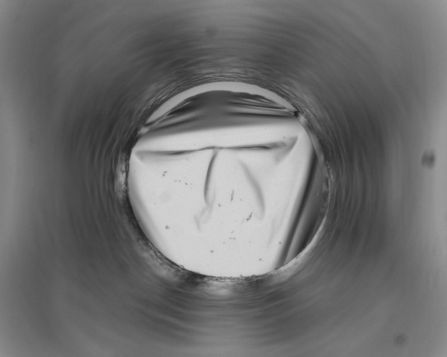 X0000096420190200802211132