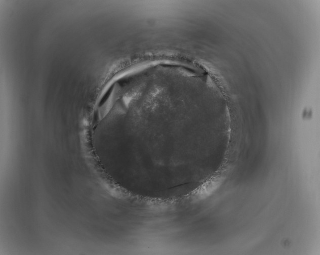 X0000096420192200802211132