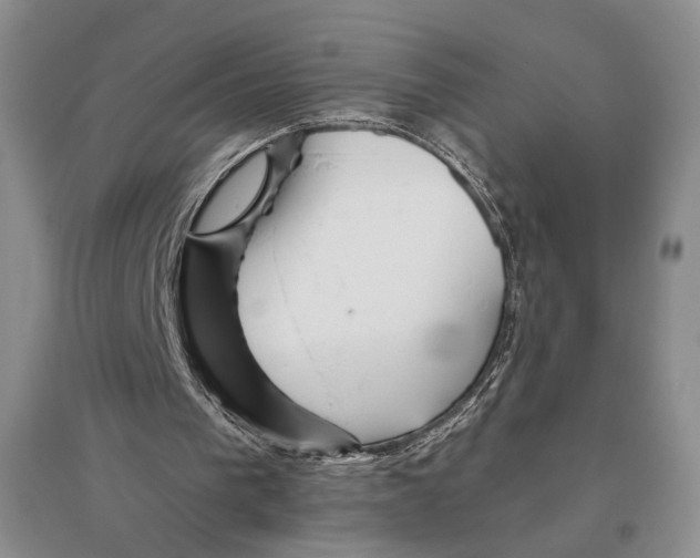 X0000096420193200802211131