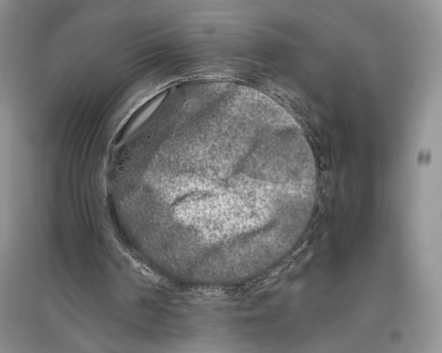 X0000096420194200802211131