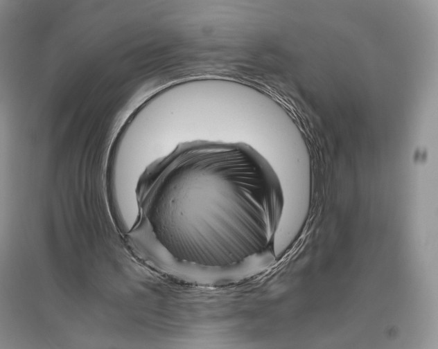 X0000096420195200802211131