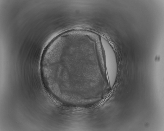 X0000096420196200802211131